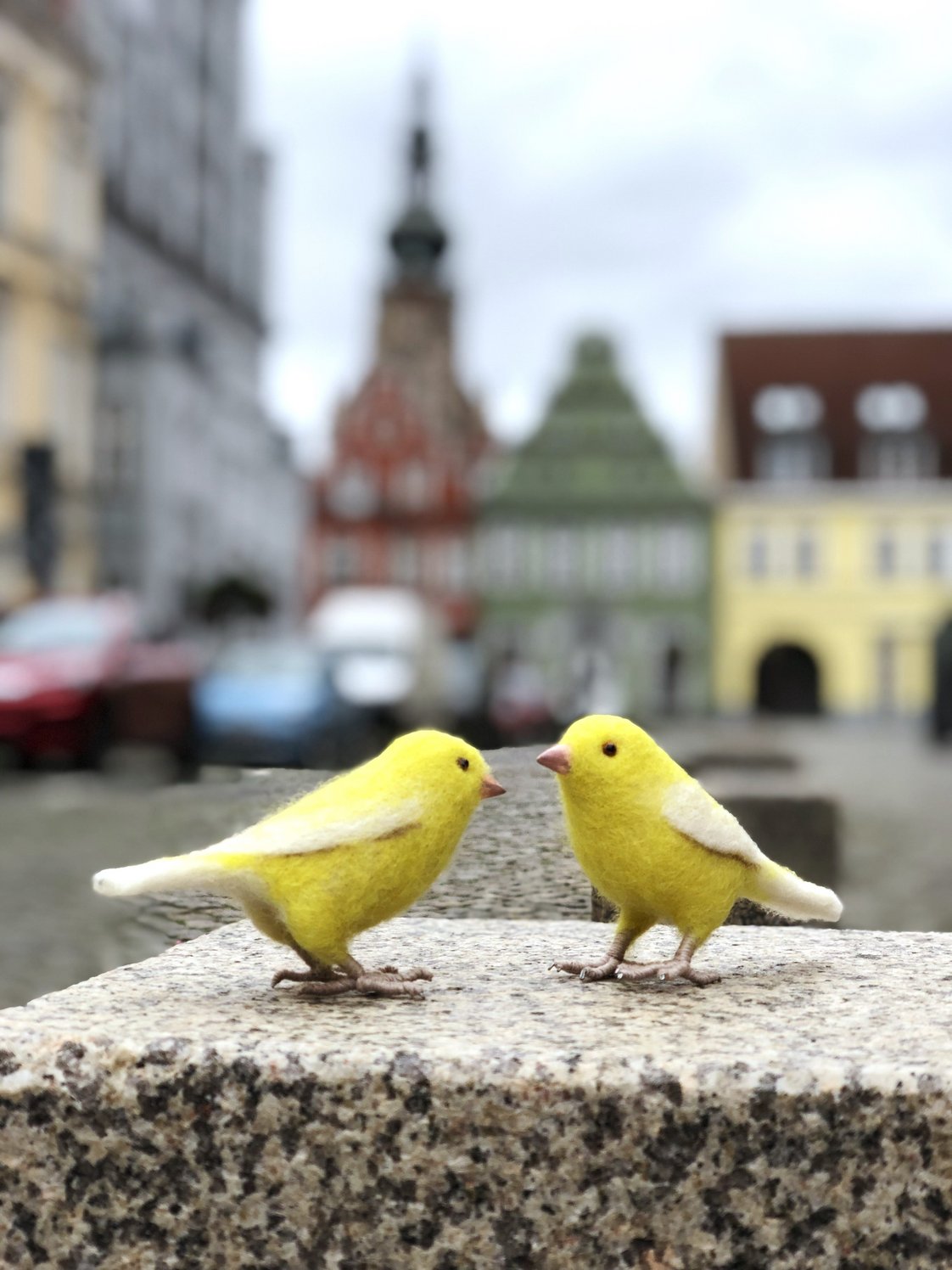 Roman & Tik sitzen auf einer steinernen Basis. Im Hintergrund farbige Giebelhäuser und der Turm des Greifswalder Doms